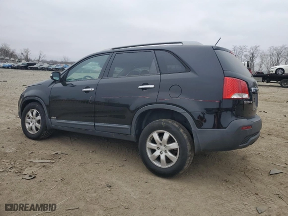 2011 Kia Sorento LX with VIN 5XYKTCA12BG159382, listed as a Copart auction lot 49151255 with 118,413 mi miles and Salvage Title. Bid and sale history available at carsss.com. Image 2.