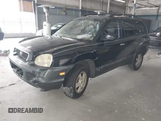 2004 Hyundai Santa Fe GLS with VIN KM8SC13E74U666943, listed as a IAAI auction lot 41616623 with 196,665 mi miles. Bid and sale history available at carsss.com. Image 2.