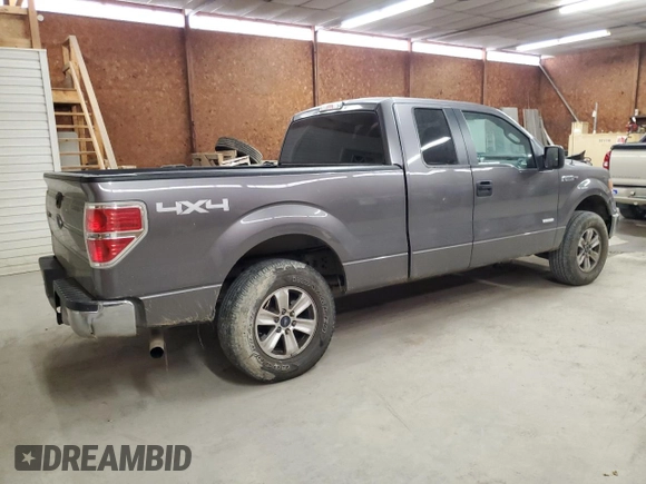 2013 Ford F-150 XL with VIN 1FTFX1ETXDFB56208, listed as a Copart auction lot 64496435 with 74,875 mi miles and Salvage title. Bid and sale history available at DreamBid. Image 3.