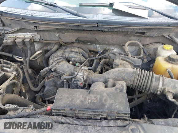 2014 Ford F-150 XL with VIN 1FTEX1CM4EKF42963, listed as a IAAI auction lot 42593646 with 143,409 mi miles and . Bid and sale history available at DreamBid. Image 10.