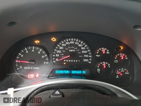 2008 Chevrolet TrailBlazer 1LT with VIN 1GNDT13S982213824, listed as a Copart auction lot 41818795 with 224,163 mi miles and Salvage Title. Bid and sale history available at DreamBid. Image 9.
