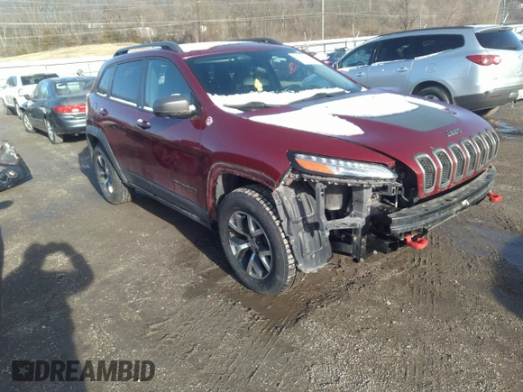 2014 Jeep Cherokee Trailhawk with VIN 1C4PJMBS9EW161047, listed as a IAAI auction lot 41841038 with Not Provided miles. Bid and sale history available at carsss.com. Image 1.