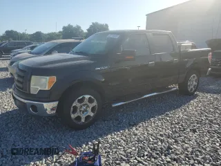 2010 Ford F-150 XL with VIN 1FTFW1CV3AKA39189, listed as a Copart auction lot 53718425 with 184,476 mi miles and Salvage Title. Bid and sale history available at carsss.com. Image 1.