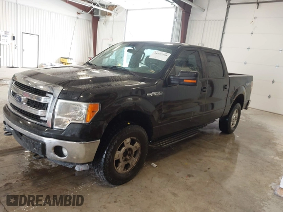 2013 Ford F-150 XL with VIN 1FTFW1EF0DFA07061, listed as a IAAI auction lot 41655268 with 286,537 mi miles. Bid and sale history available at carsss.com. Image 14.