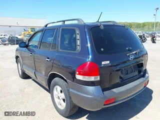 2005 Hyundai Santa Fe GLS with VIN KM8SC73E95U956010, listed as a IAAI auction lot 42134272 with 190,895 mi miles. Bid and sale history available at carsss.com. Image 6.