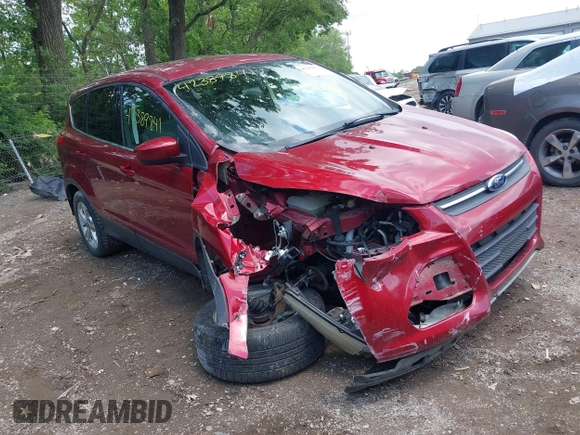 2013 Ford Escape SE with VIN 1FMCU0GX6DUA98305, listed as a IAAI auction lot 42389841 with 109,484 mi miles and . Bid and sale history available at DreamBid. Image 1.