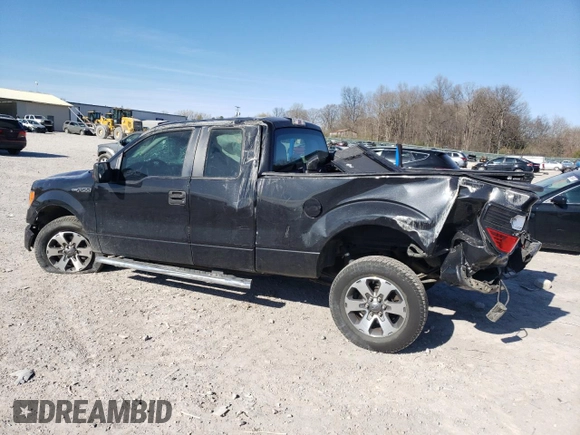 2013 Ford F-150 XL with VIN 1FTFX1CF7DFC08942, listed as a Copart auction lot 49987185 with 113,674 mi miles and Salvage Title. Bid and sale history available at carsss.com. Image 2.