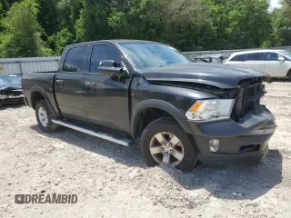 2014 Ram 1500 Big Horn with VIN 1C6RR7LT1ES209326, listed as a Copart auction lot 58132445 with 113,964 mi miles and Salvage title. Bid and sale history available at DreamBid. Image 4.