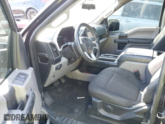 2019 Ford F-150 XL with VIN 1FTEW1EP4KKD73243, listed as a IAAI auction lot 41456076 with 114,198 mi miles. Bid and sale history available at carsss.com. Image 18.