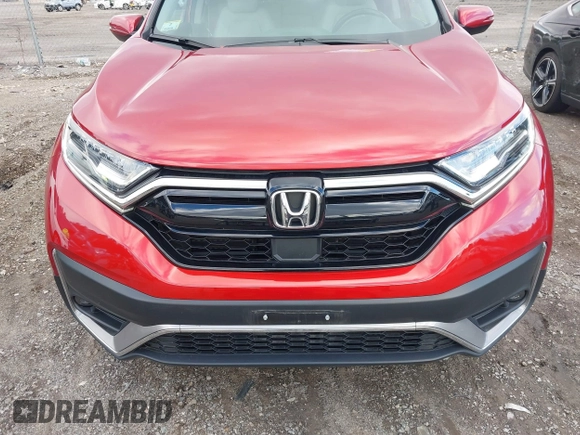 2022 Honda CR-V Touring with VIN 7FARW2H99NE025769, listed as a IAAI auction lot 41080781 with 41,278 mi miles. Bid and sale history available at carsss.com. Image 6.
