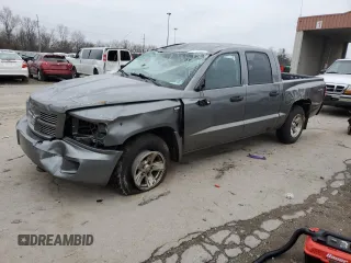 2010 Dodge Dakota SXT with VIN 1D7CW3GP7AS176121, listed as a Copart auction lot 85169354 with Not Provided miles and Salvage Title. Bid and sale history available at carsss.com. Image 1.
