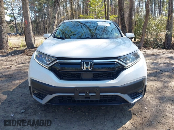 2020 Honda CR-V EX with VIN 2HKRW1H51LH407358, listed as a IAAI auction lot 41884373 with 51,051 mi miles and . Bid and sale history available at carsss.com. Image 12.