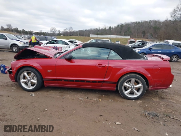 2008 Ford Mustang GT Deluxe with VIN 1ZVHT85H585146235, listed as a IAAI auction lot 41277038 with 138,033 mi miles and . Bid and sale history available at DreamBid. Image 14.