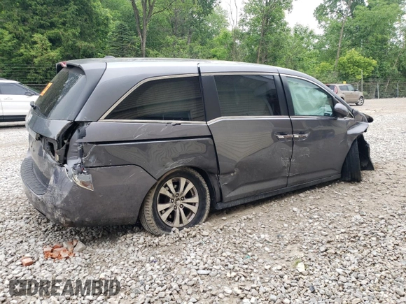 2014 Honda Odyssey EX-L with VIN 5FNRL5H69EB125480, listed as a Copart auction lot 59988475 with Not provided miles and Salvage title. Bid and sale history available at DreamBid. Image 3.