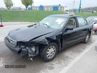 1999 Chevrolet Malibu LS with VIN 1G1NE52M1X6202060, listed as a IAAI auction lot 42011861 with 203,273 mi miles and . Bid and sale history available at DreamBid. Image 17.