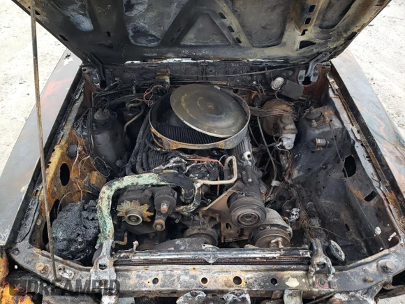 1986 Ford Mustang с VIN 1FABP27M0GF194051, выставлен на аукционе Copart как лот 49267295 с пробегом Не указан миль и Чистый • Clean title. История ставок и продаж доступна на DreamBid. Изображение 11.