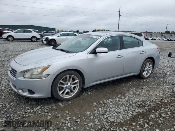 2009 Nissan Maxima SV with VIN 1N4AA51E19C820663, listed as a Copart auction lot 50221555 with 155,568 mi miles and Salvage Title. Bid and sale history available at DreamBid. Image 1.