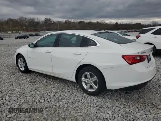 2024 Chevrolet Malibu LS with VIN 1G1ZC5ST9RF210134, listed as a Copart auction lot 79671434 with Not Provided miles and Salvage Title. Bid and sale history available at DreamBid. Image 2.