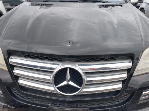 2009 Mercedes-Benz GL-Class 5.5L with VIN 4JGBF86E29A453158, listed as a IAAI auction lot 41919268 with 158,054 mi miles. Bid and sale history available at carsss.com. Image 14.
