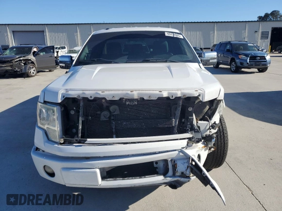 2013 Ford F-150 XL with VIN 1FTMF1CF2DFC41969, listed as a Copart auction lot 49729085 with 195,243 mi miles and Salvage title. Bid and sale history available at DreamBid. Image 5.