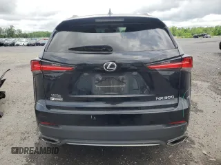 2019 Lexus NX 300 with VIN JTJYARBZ9K2145039, listed as a Copart auction lot 55788715 with 66,599 mi miles and Salvage title. Bid and sale history available at DreamBid. Image 6.