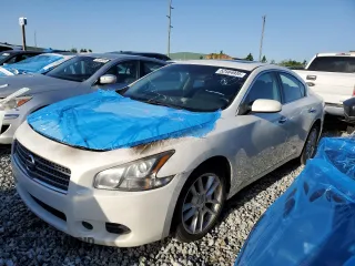 2011 Nissan Maxima SV with VIN 1N4AA5AP6BC836980, listed as a Copart auction lot 52584935 with Not provided miles and Non repairable. Bid and sale history available at DreamBid. Image 1.