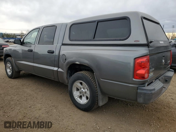 2010 Dodge Dakota SXT with VIN 1D7CW3GP3AS161843, listed as a Copart auction lot 76721334 with 308,931 mi miles and Clean Title. Bid and sale history available at DreamBid. Image 2.