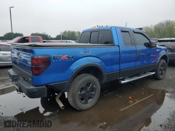 2010 Ford F-150 XL with VIN 1FTFX1EV3AFC01745, listed as a Copart auction lot 55466205 with 125,836 mi miles and Clean Title. Bid and sale history available at carsss.com. Image 3.