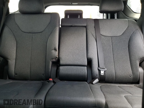 2019 Hyundai Santa Fe SE with VIN 5NMS23ADXKH070632, listed as a Copart auction lot 55621455 with 185,663 mi miles and Clean Title. Bid and sale history available at carsss.com. Image 10.