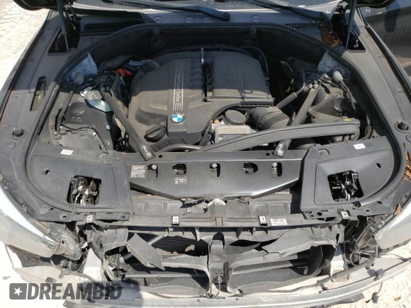 2017 BMW 5 Series with VIN WBA5M2C31HG499368, listed as a Copart auction lot 52301314 with 71,317 mi miles and . Bid and sale history available at DreamBid. Image 12.