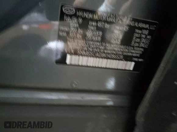 2019 Hyundai Santa Fe Ultimate with VIN 5NMS5CAD8KH086528, listed as a Copart auction lot 45758275 with Not Provided miles and Salvage Title. Bid and sale history available at DreamBid. Image 16.