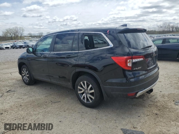 2021 Honda Pilot EX-L with VIN 5FNYF6H52MB100595, listed as a Copart auction lot 54910245 with 48,256 mi miles and Salvage Title. Bid and sale history available at DreamBid. Image 2.