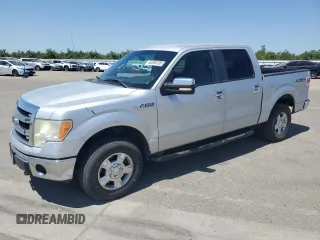 2013 Ford F-150 XL with VIN 1FTFW1EF4DKE06241, listed as a Copart auction lot 60306105 with 171,658 mi miles and Salvage title. Bid and sale history available at DreamBid. Image 1.