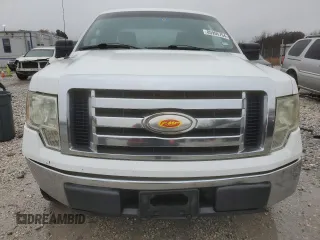 2009 Ford F-150 STX with VIN 1FTRX12809KB12665, listed as a Copart auction lot 42559065 with 300,074 mi miles and Salvage Title. Bid and sale history available at DreamBid. Image 5.
