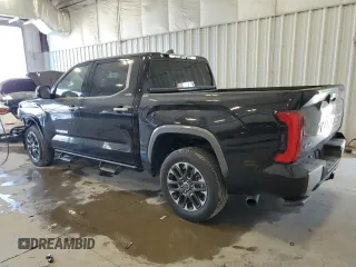 2024 Toyota Tundra Limited with VIN 5TFJA5DB4RX229828, listed as a Copart auction lot 60220935 with 10,738 mi miles and Salvage title. Bid and sale history available at DreamBid. Image 2.