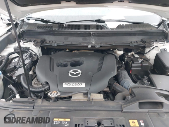 2019 Mazda CX-9 Touring with VIN JM3TCACY2K0328347, listed as a IAAI auction lot 41917854 with 67,173 mi miles and . Bid and sale history available at DreamBid. Image 10.