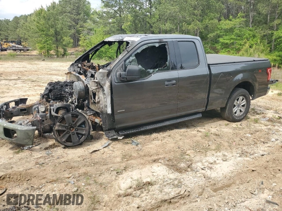 2016 Ford F-150 XLT with VIN 1FTFX1EG6GFD57577, listed as a Copart auction lot 53896125 with Not provided miles and Salvage title. Bid and sale history available at DreamBid. Image 1.