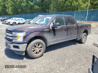 2019 Ford F-150 XL with VIN 1FTFW1E4XKKC87851, listed as a Copart auction lot 66417185 with 159,087 mi miles and Clean title. Bid and sale history available at DreamBid. Image 1.