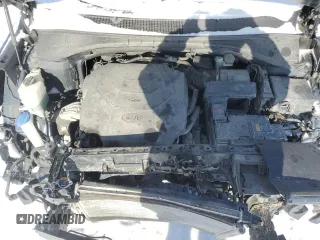 2019 Kia Sorento EX V6 with VIN 5XYPHDA53KG492075, listed as a Copart auction lot 46924185 with 155,982 mi miles and Salvage Title. Bid and sale history available at carsss.com. Image 11.