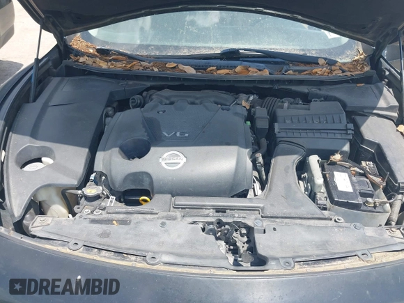 2011 Nissan Maxima SV with VIN 1N4AA5AP9BC865311, listed as a IAAI auction lot 42232838 with 244,245 mi miles and . Bid and sale history available at DreamBid. Image 10.
