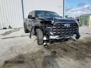 2023 Toyota Tundra 2WD Platinum with VIN 5TFNA5AB0PX026342, listed as a Copart auction lot 44012145 with 34,550 mi miles and Salvage Title. Bid and sale history available at carsss.com. Image 10.