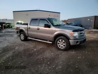 2013 Ford F-150 XL with VIN 1FTFW1EF9DFD38723, listed as a Copart auction lot 83895324 with 175,651 mi miles and Non Repairable. Bid and sale history available at carsss.com. Image 13.