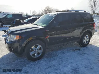 2009 Ford Escape Limited with VIN 1FMCU94G49KB85843, listed as a Copart auction lot 42923505 with 283,819 mi miles and Clean Title. Bid and sale history available at carsss.com. Image 1.