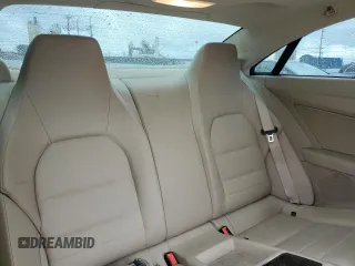 2010 Mercedes-Benz E-Class E 550 with VIN WDDKJ7CB5AF046696, listed as a Copart auction lot 49076015 with 0 mi miles and Salvage Title. Bid and sale history available at carsss.com. Image 10.
