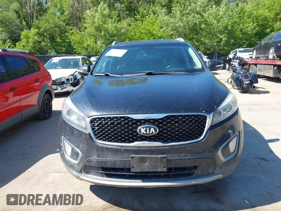 2016 Kia Sorento EX with VIN 5XYPHDA5XGG176132, listed as a IAAI auction lot 42661390 with 263,481 mi miles and . Bid and sale history available at DreamBid. Image 12.