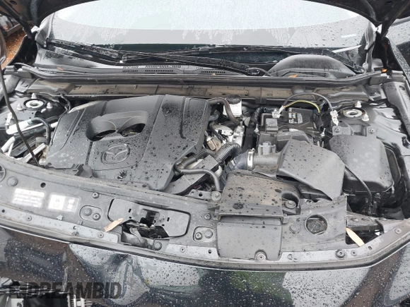2023 Mazda 3 S Preferred with VIN 3MZBPACM2PM383419, listed as a IAAI auction lot 41560694 with Not Provided miles and . Bid and sale history available at DreamBid. Image 10.
