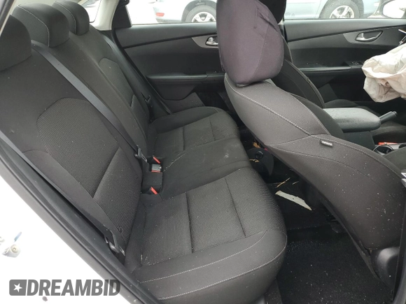 2019 Kia Forte LXS with VIN 3KPF24AD1KE081596, listed as a Copart auction lot 60381985 with Not provided miles and Salvage title. Bid and sale history available at DreamBid. Image 10.