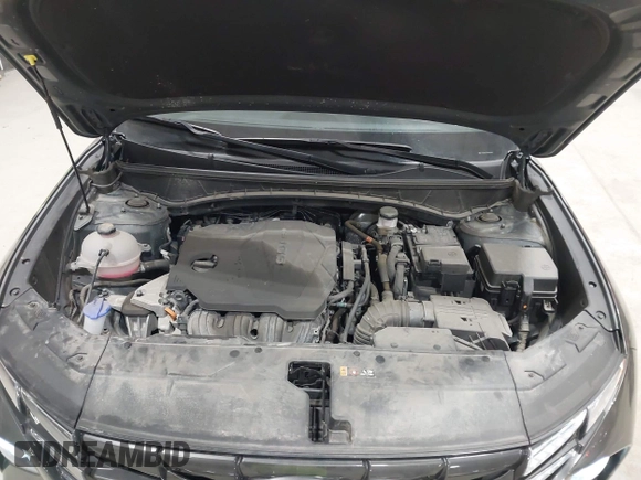 2022 Hyundai Tucson SEL с VIN 5NMJBCAE3NH125964, выставлен на аукционе IAAI как лот 41789897 с пробегом 13 342 миль миль и . История ставок и продаж доступна на DreamBid. Изображение 10.
