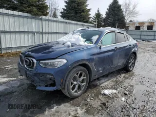 2020 BMW X4 xDrive30i with VIN 5UX2V1C02LLZ32858, listed as a Copart auction lot 42176563 with 0 mi miles. Bid and sale history available at carsss.com. Image 1.