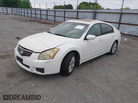 2008 Nissan Maxima 3.5 SL with VIN 1N4BA41EX8C832498, listed as a IAAI auction lot 41985509 with 175,209 mi miles. Bid and sale history available at carsss.com. Image 2.